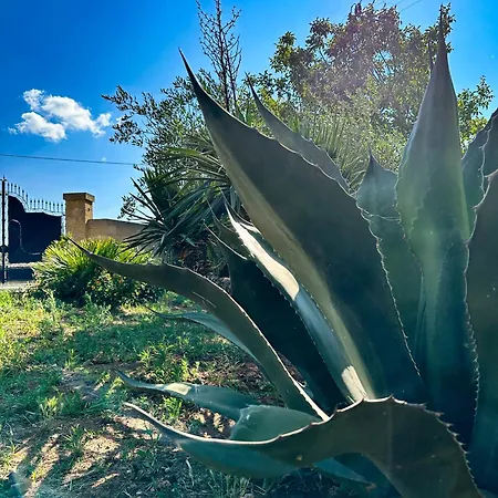 Mondoverde & ベッド・アンド・ブレックファスト Surano