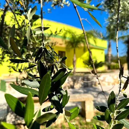 Mondoverde & Bed & Breakfast Surano
